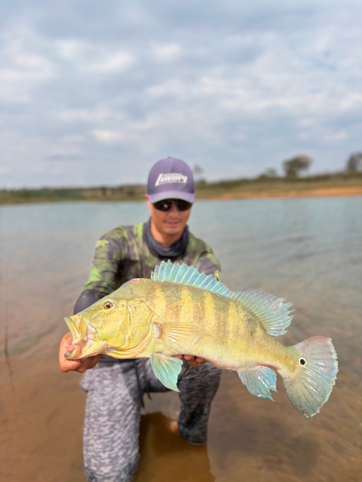 Marinho com um tucunaré-amarelo na beira da água